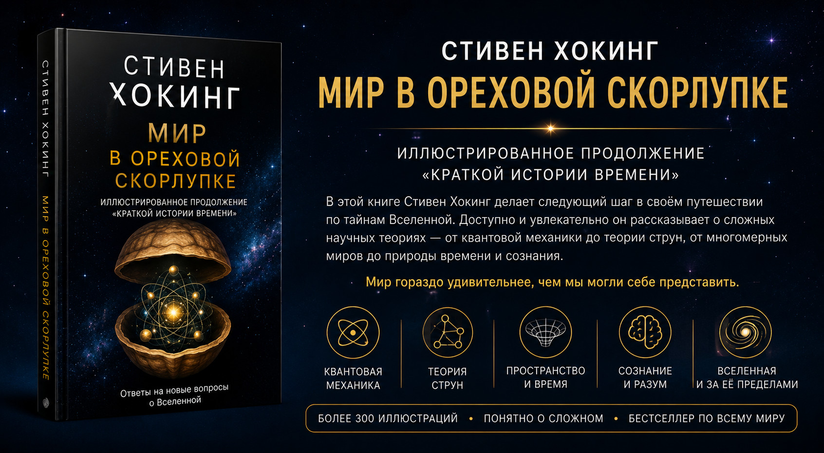 Мир в ореховой скорлупке Хокинга

