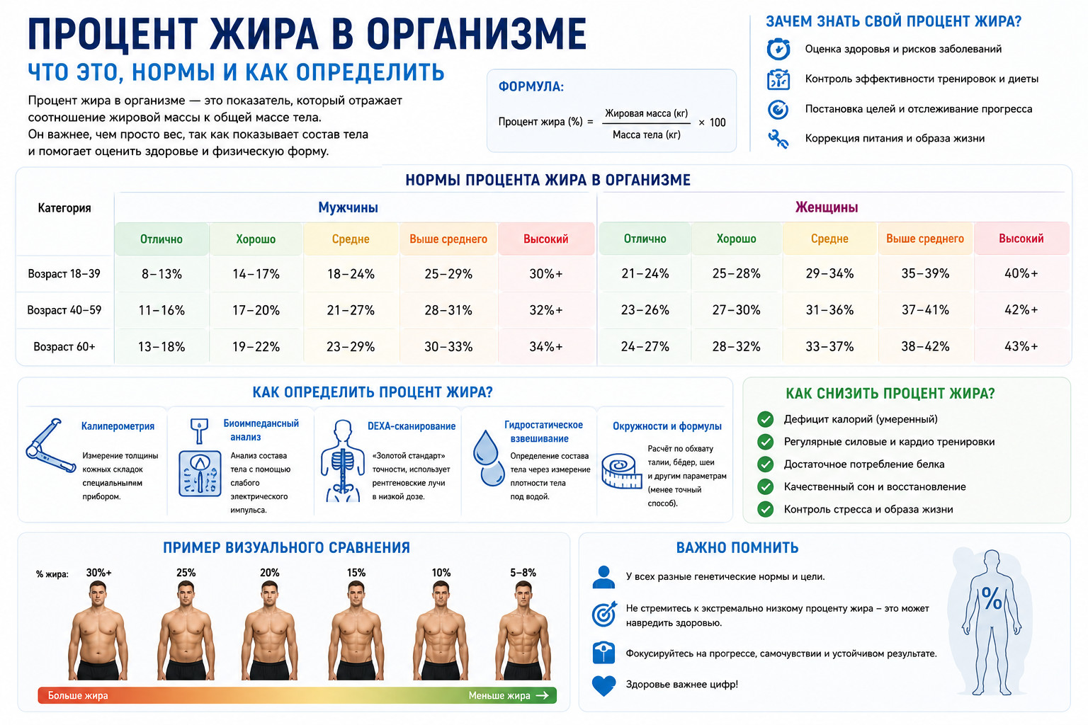 Процент жира в организме