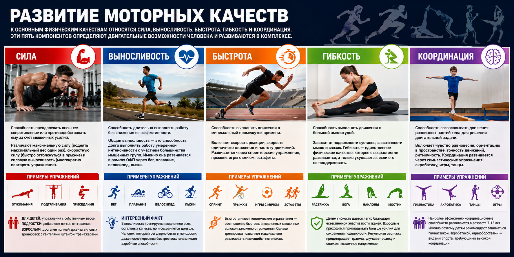 Развитие моторных качеств человека

