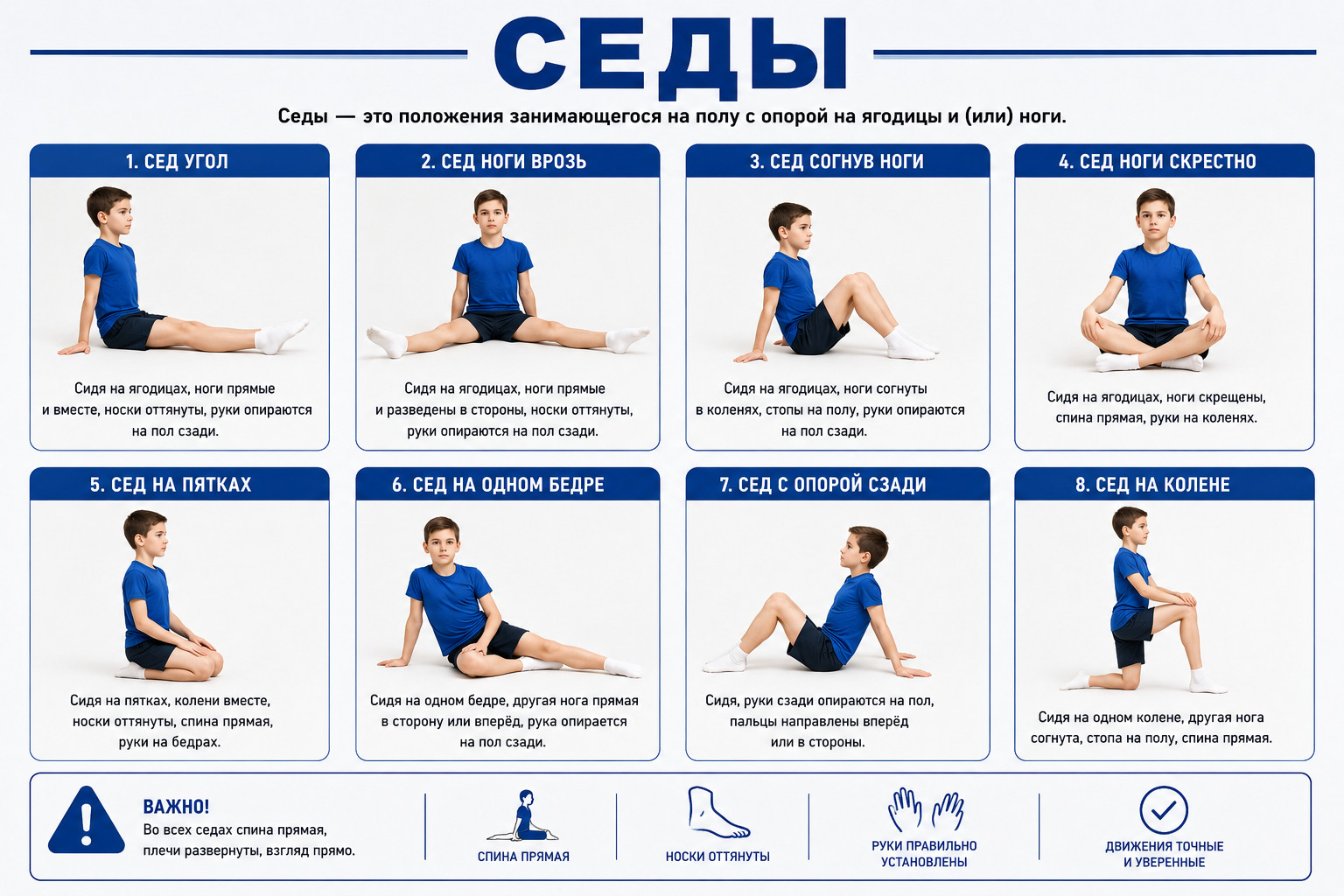 Позиции для сиденья в гимнастике

