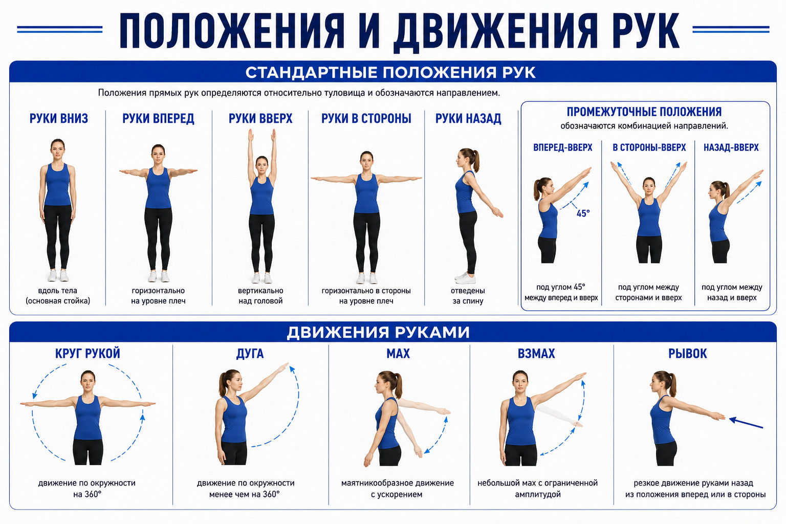 Положения и движения рук

